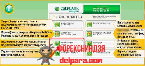 Пошаговая инструкция по подключению мобильного банка Сбербанка